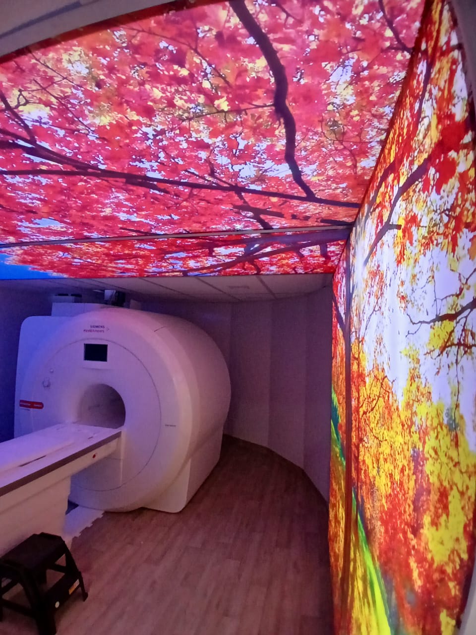 Sala de Ressonância realizada por nossa empresa junto a humanização da sala em Suzano, SP