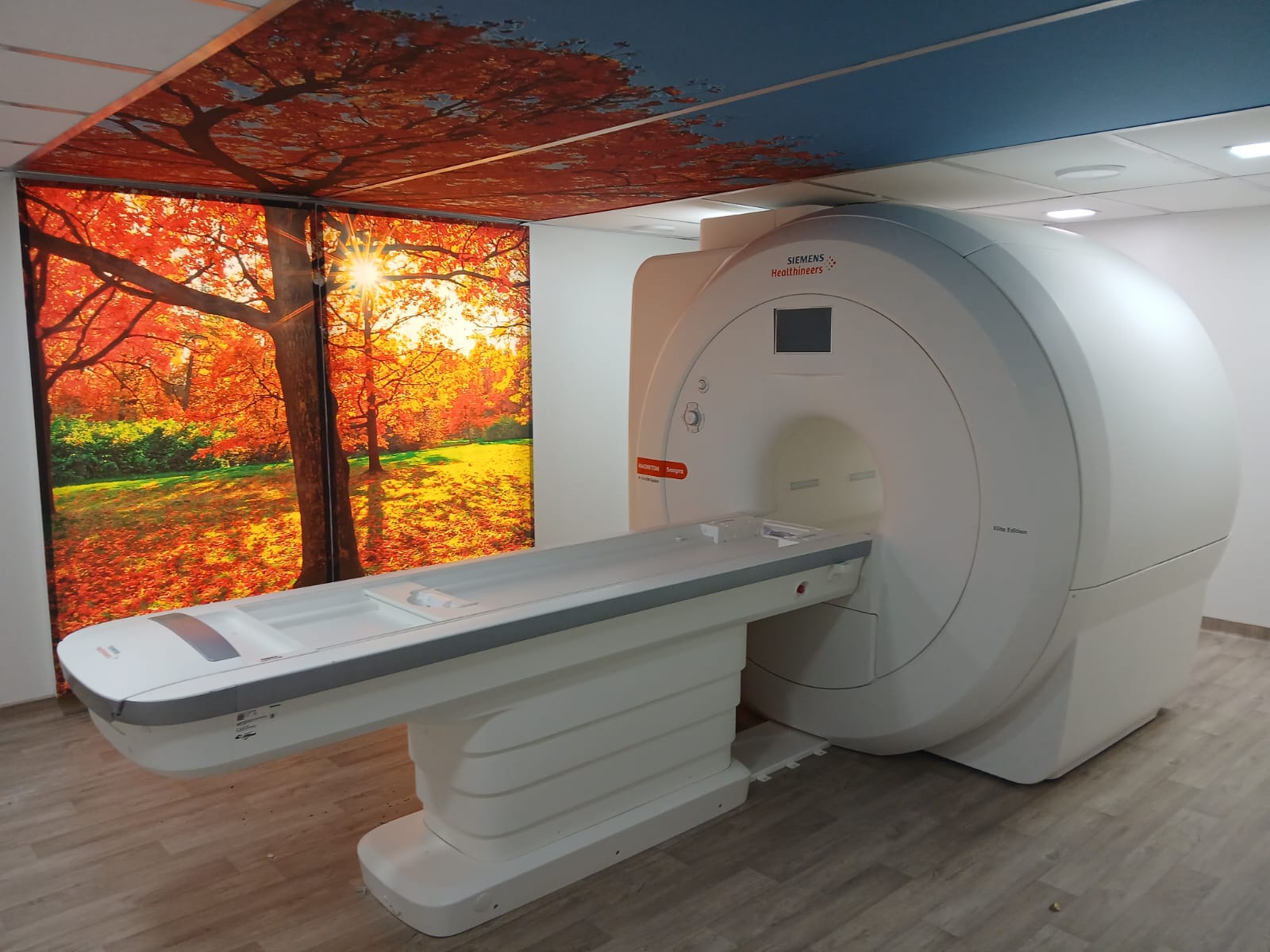 Sala de Ressonância realizada por nossa empresa junto a humanização da sala em Recife, PE